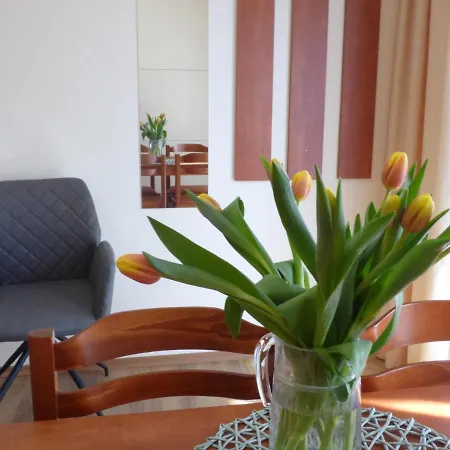 Ildiko Apartman Appartamento Szeged